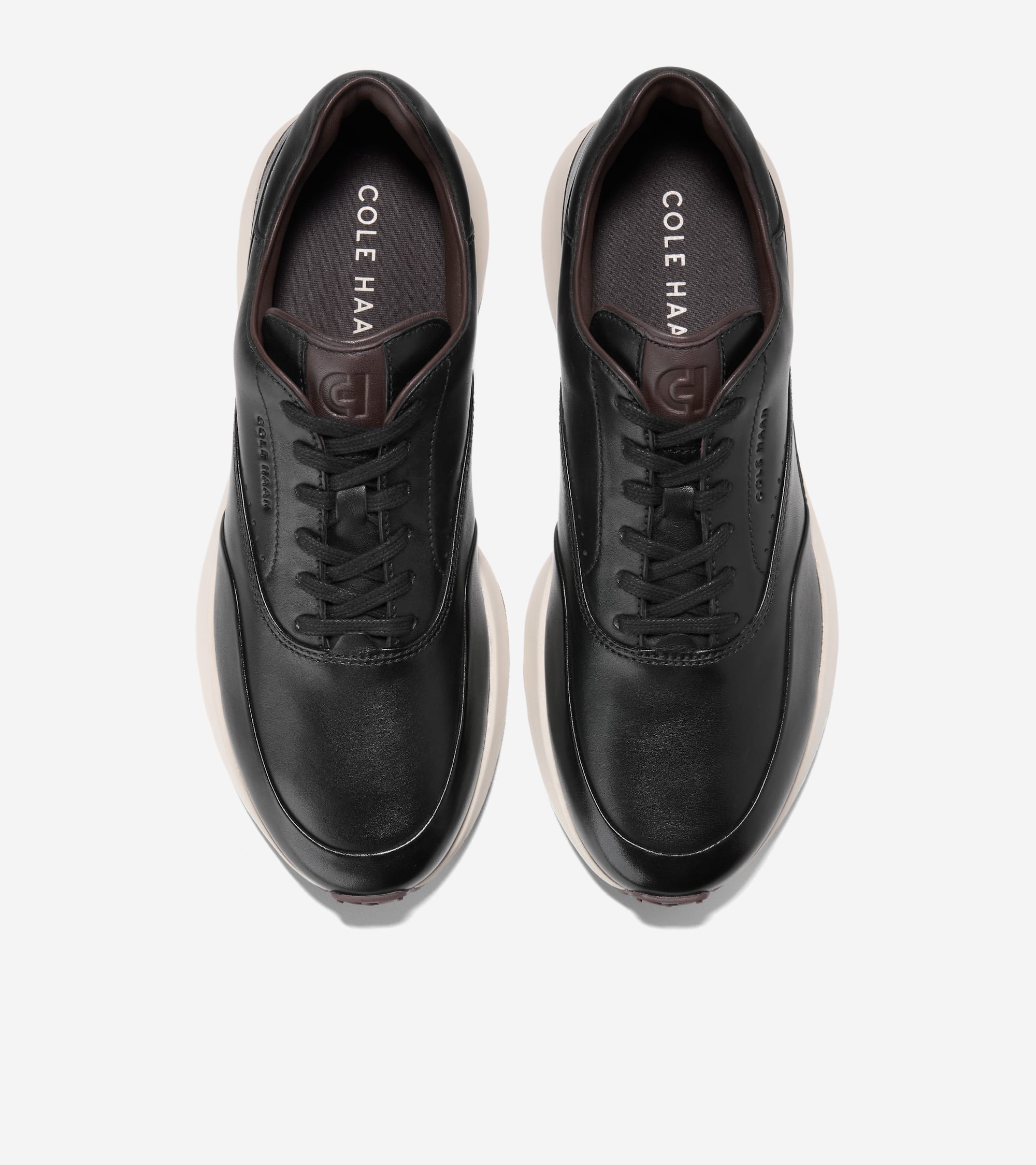 C43189:BLACK / CH MADEIRA / ANGORA