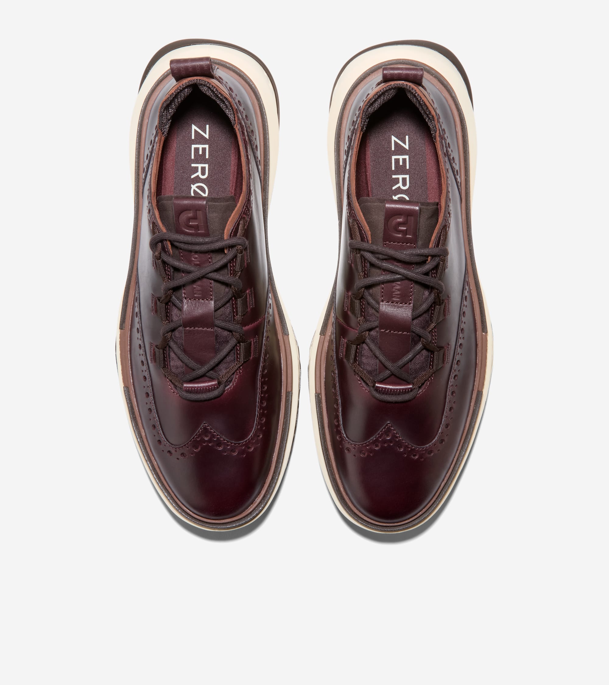 C40989:CH CHOCOLATE RAISIN / CH DK SEQUOIA / IVORY