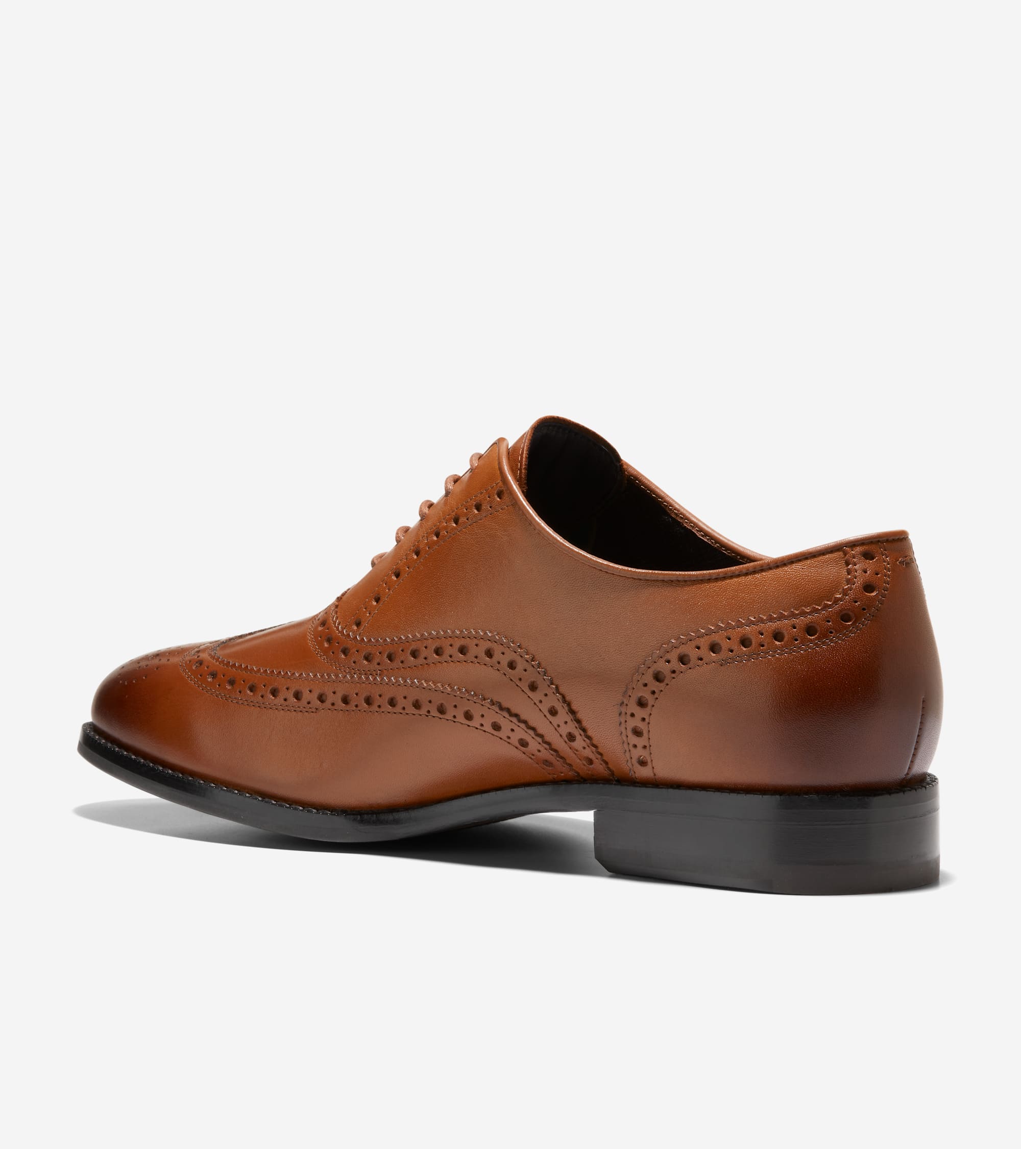 C37617:CH BRITISH TAN/CH DARK CHOCOLATE