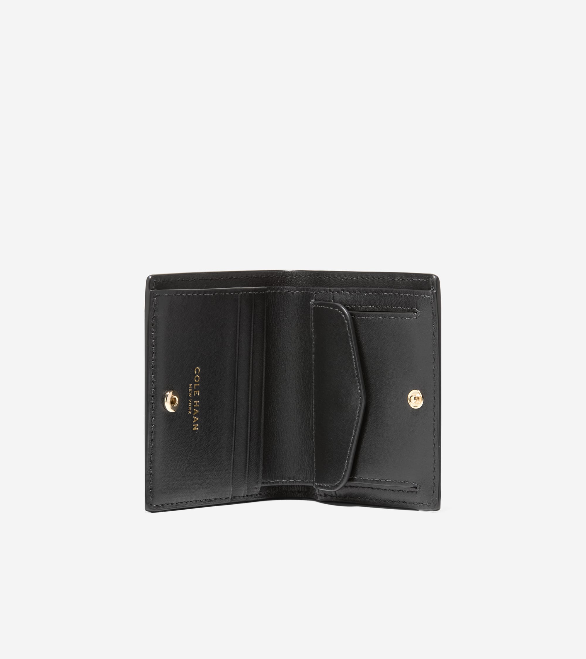 U08209:BLACK:0000