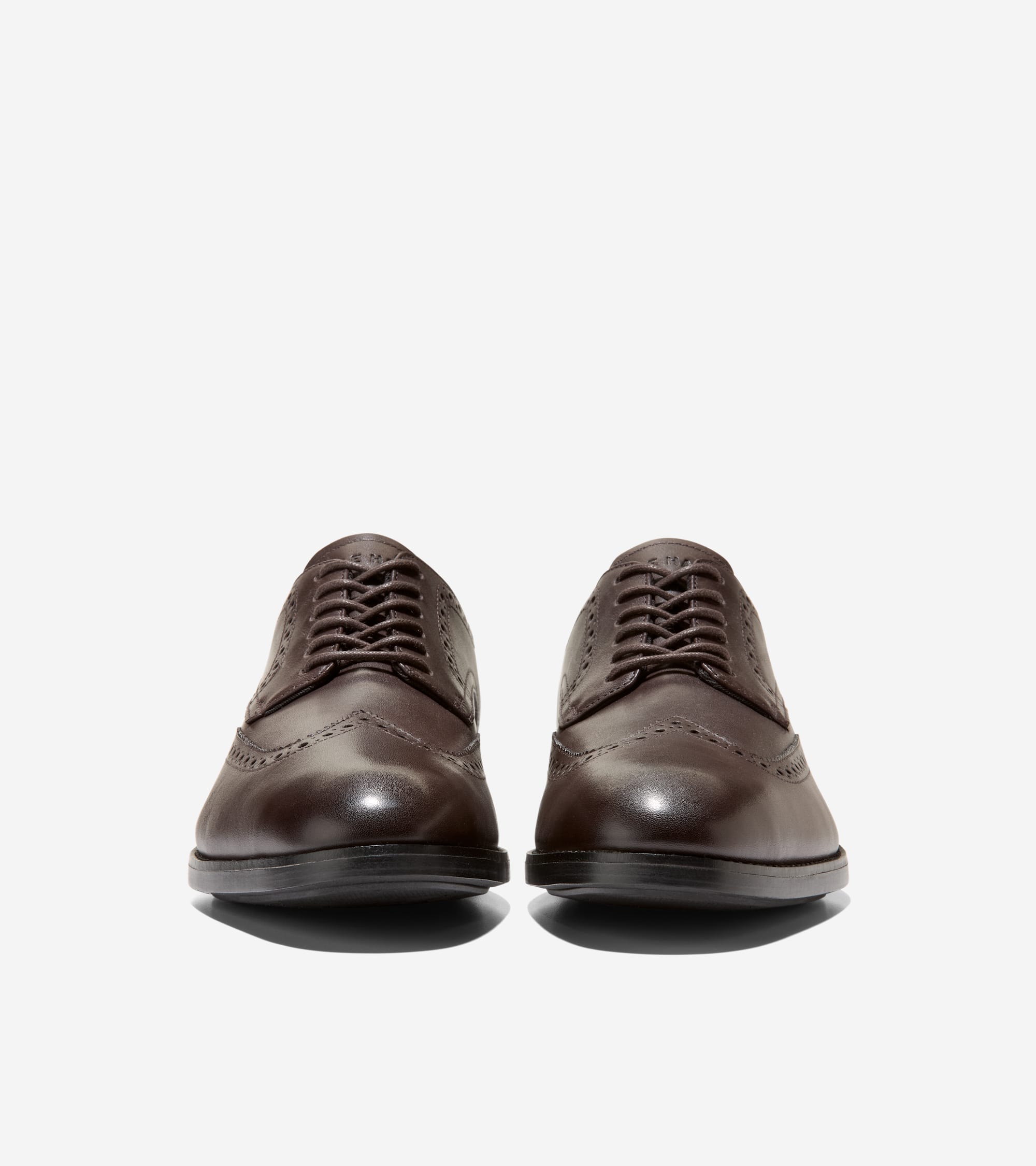 C41593:CH DK CHOCOLATE / BLACK WR