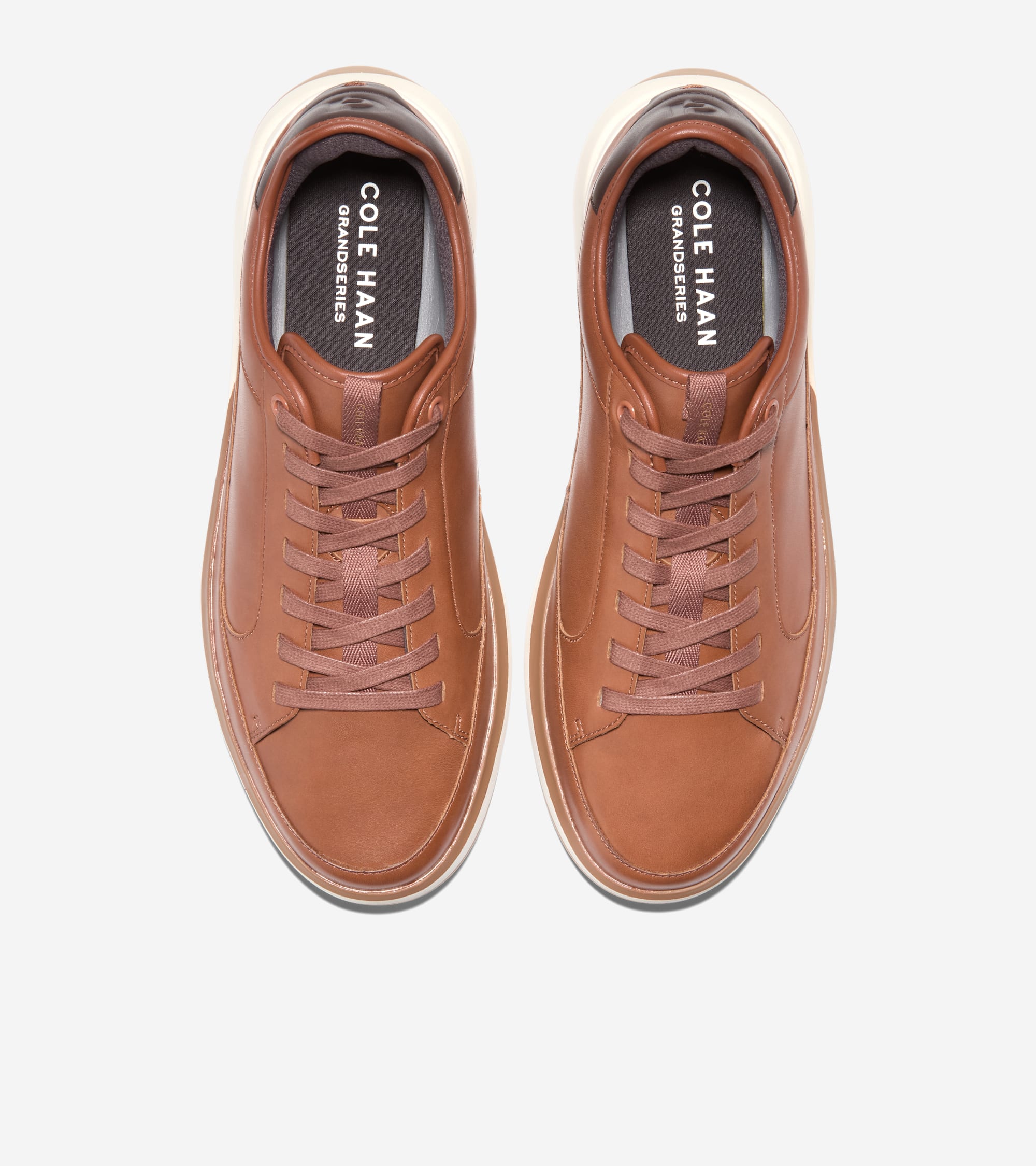 C42320:CH BRITISH TAN / CH DK CHOCOLATE / IVORY