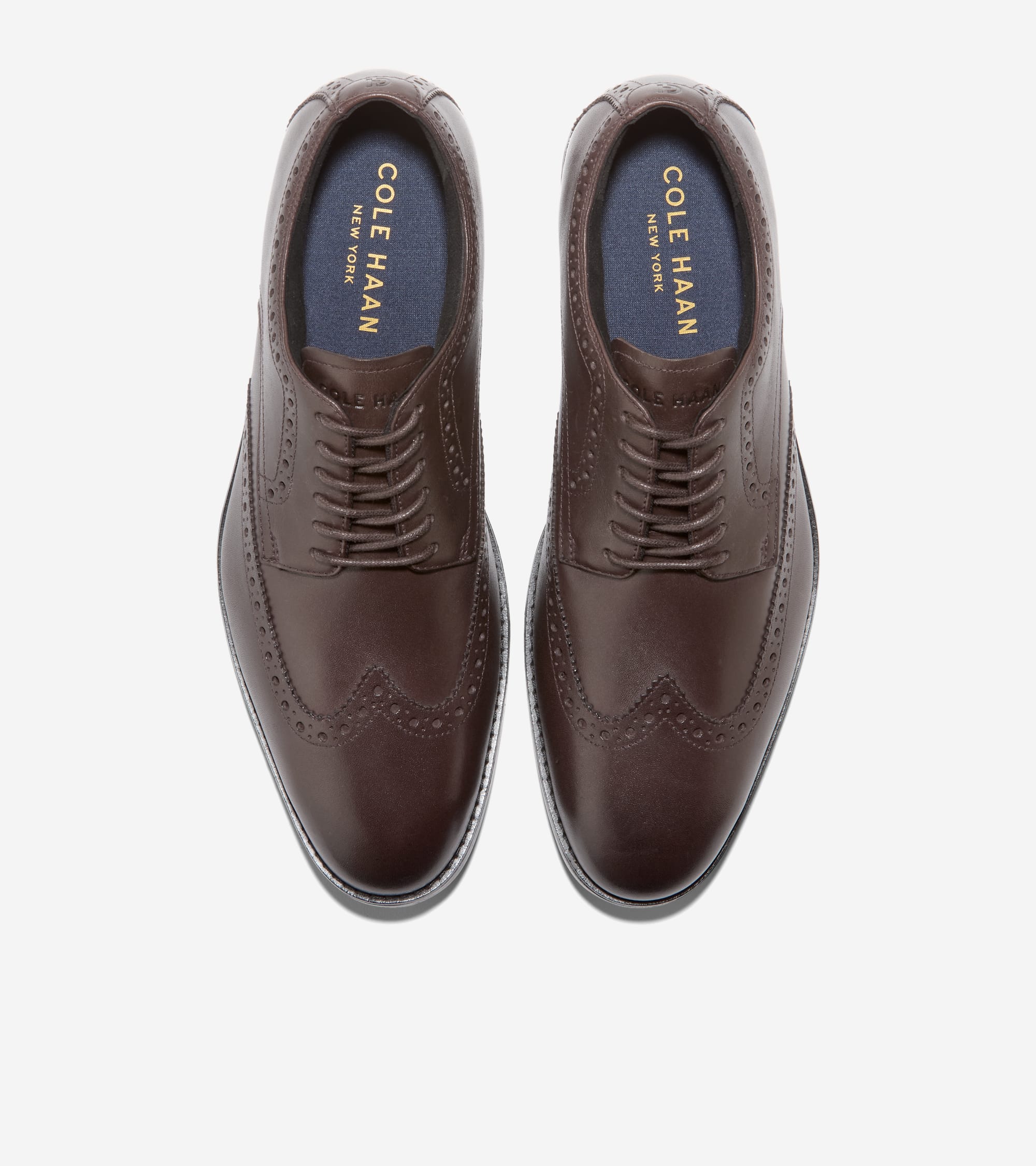 C41593:CH DK CHOCOLATE / BLACK WR