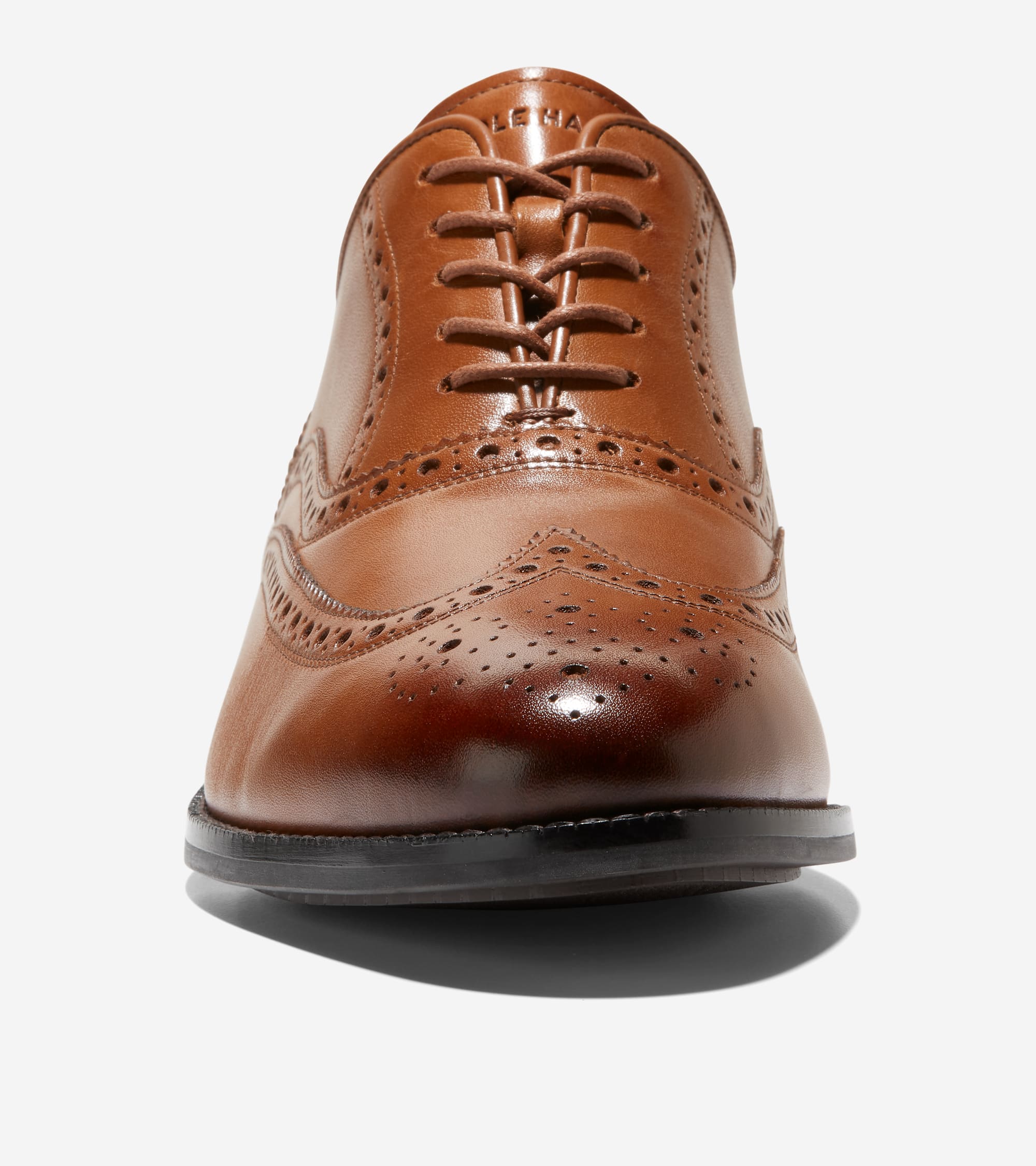 C37617:CH BRITISH TAN/CH DARK CHOCOLATE