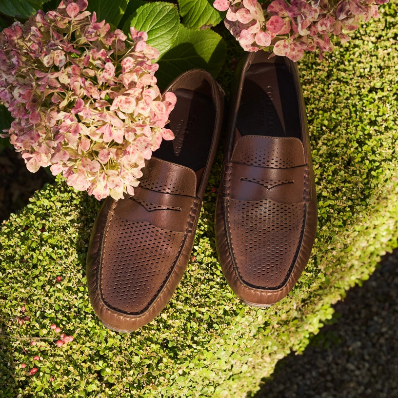 Cole haan men's trafton cap sales sport ox p11464 fashion sneaker